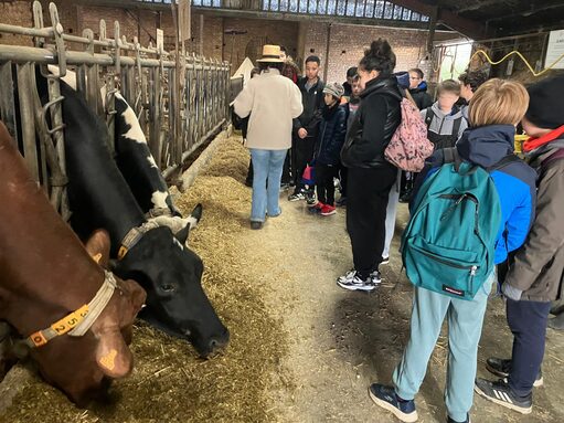 Ferme1.jpeg