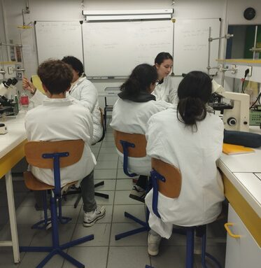 WhatsApp Image 2026-02-04 at 09.22.26 (1).jpeg