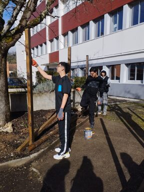 WhatsApp Image 2026-02-04 at 09.16.41 (3).jpeg